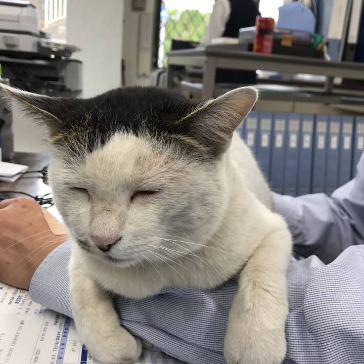 E6494bae de06 495a a90e 2e70eb722607 1553839474233