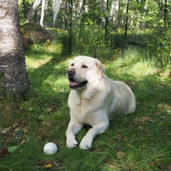 E6496dd7 fad4 4bc9 a654 d05cd532b998 1628828563862