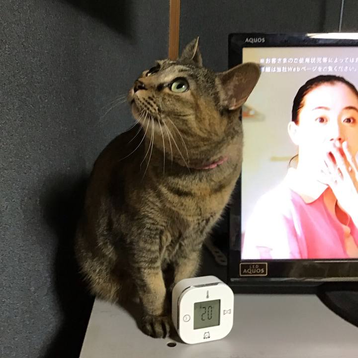 E649905b 16b5 46ea a1ea b575d21a04c4 1736418121969