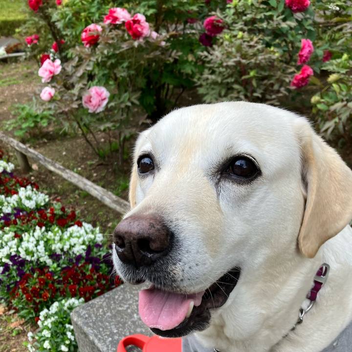 E649bdc6 2e01 42a7 8bbe 42479c7afa03 1680970038464