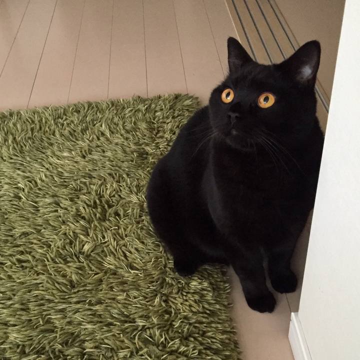 E649ff4d af95 4ce4 97f0 ff5b7b4b8a2e 1533717773440