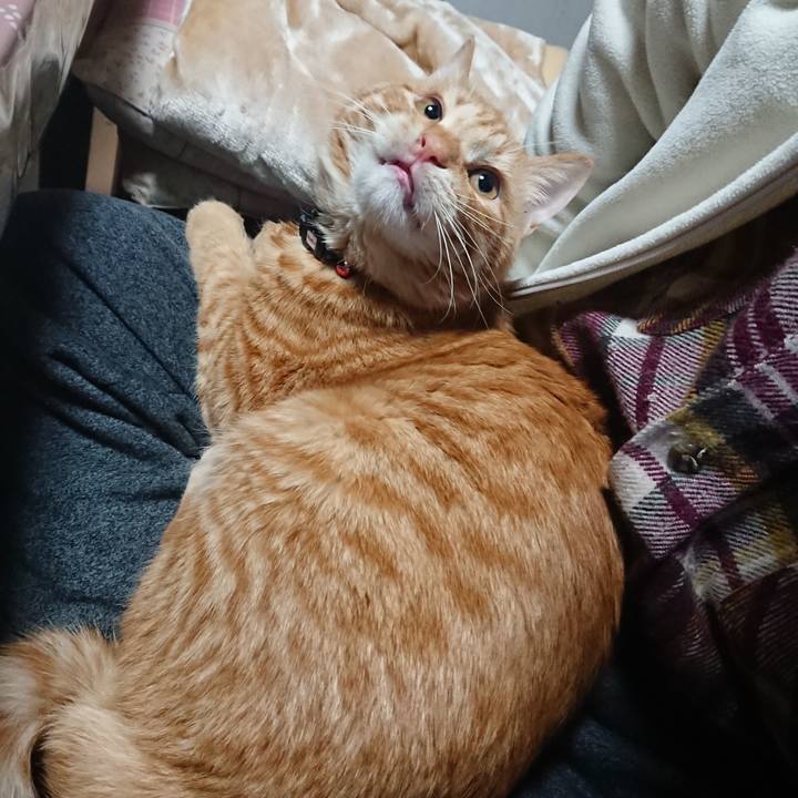 E64a3415 0326 404c 8227 ebcfbe091ee2 1641676349479