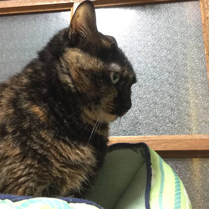 E64a4280 e917 46ef a465 1e1c144c37b9 1546776072436