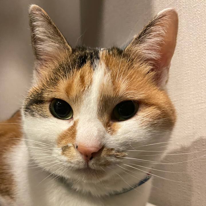 E64a4328 c5ad 4b43 a646 94257b6821f3 1708171508752