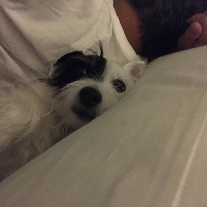 E64a6159 40e1 43b1 8b70 1254a0e02596 1537020366924