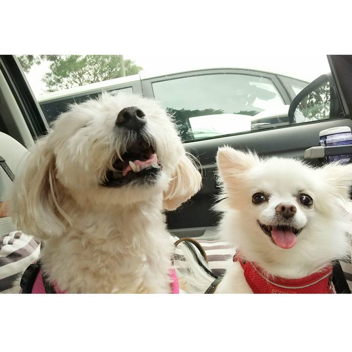 E64a7a60 bcf9 4a4f ae67 86b29dfe1836 1654927666487