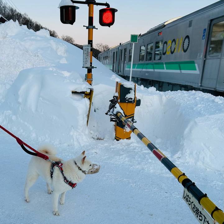 E64abd24 1d50 429d acec 799bbc7c80cc 1705449732185