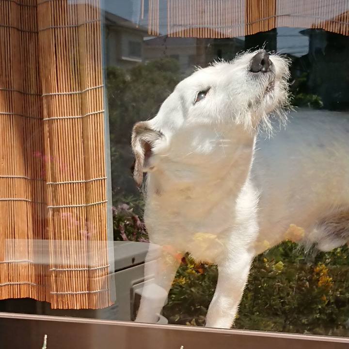 E64ae347 4712 4183 8954 171588efb50b 1527034945380