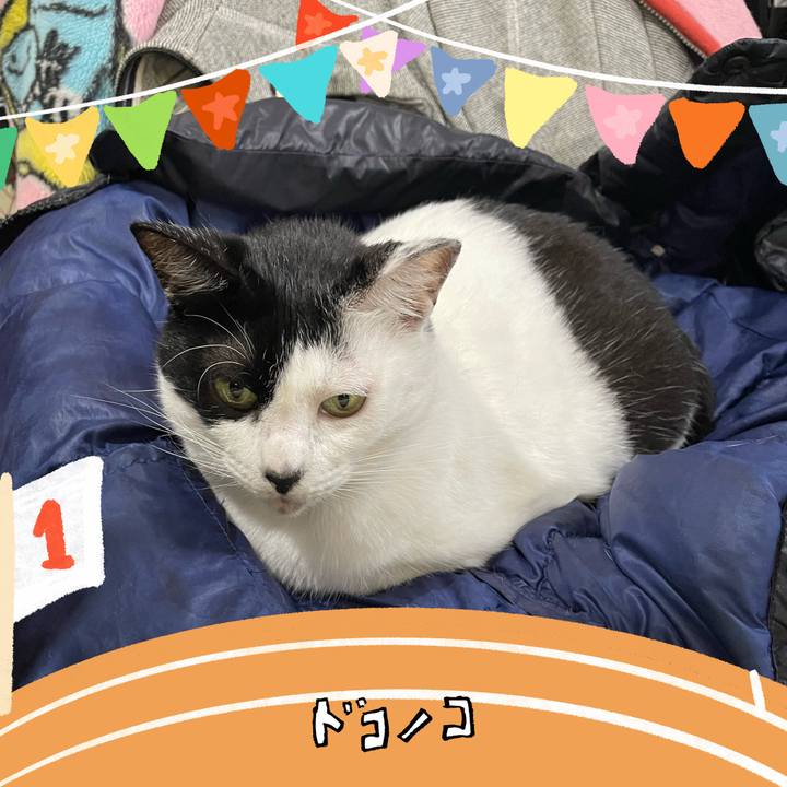 E64aee64 c3e6 497c b8ba a8ac529c7069 1761605707737