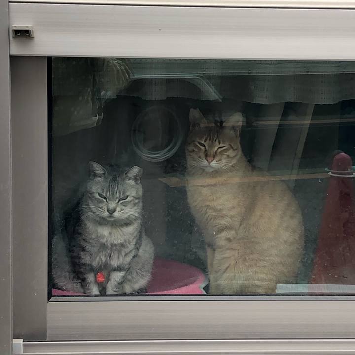 E64afc61 1f2a 4e4f acaf 984d3f1150f1 1555331783770