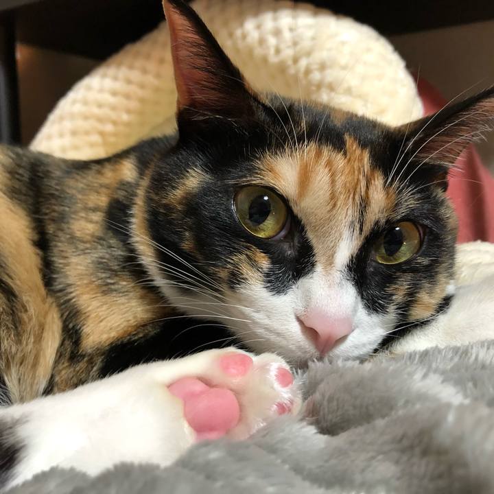 E64b58ff f75d 44a5 815a d13228d15280 1605104224457