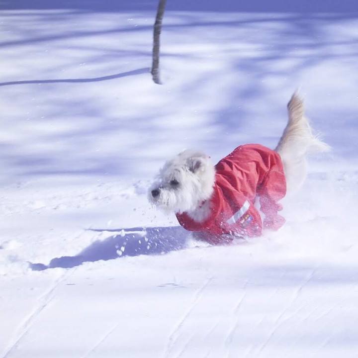 E64b7de8 7e94 4345 8771 c24ac05869ad 1577413333074