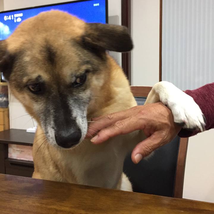 E64b7f78 aa43 4d97 98cb 94fcda7508bc 1508408532711