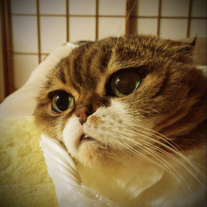 E64b820b d97a 43bf a31c 7d153cef33af 1511005924380