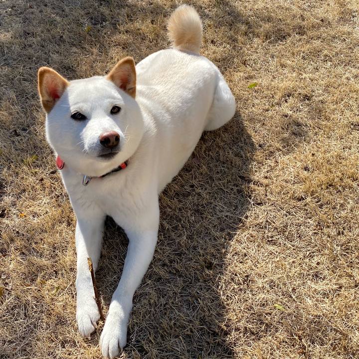 E64b9fab aef3 4bdc ba39 800af2317493 1612688016065