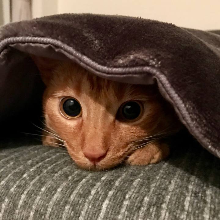 E64bbb0d 1779 4de6 b05d a316ec043b6d 1605189255924