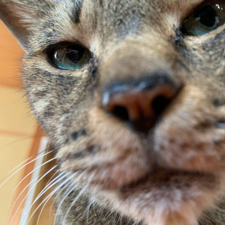 E64bbe96 5337 4e5c a92b c48250f871ff 1597109569057