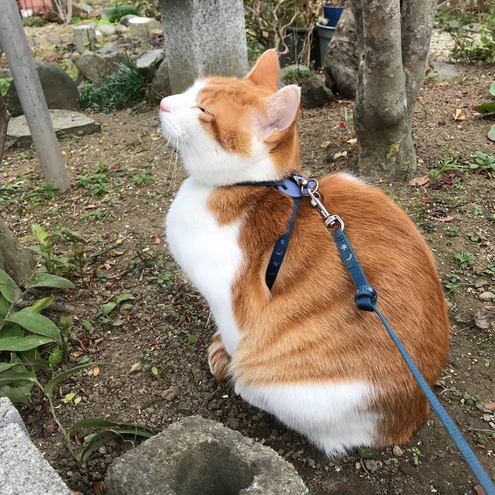 E64bfafa d641 4468 b61a 9d76a0a0b58b 1511147743921