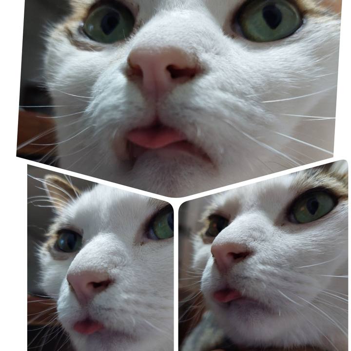 E64c2523 f2cc 4337 bcb9 c3e7001ad440 1683542861204