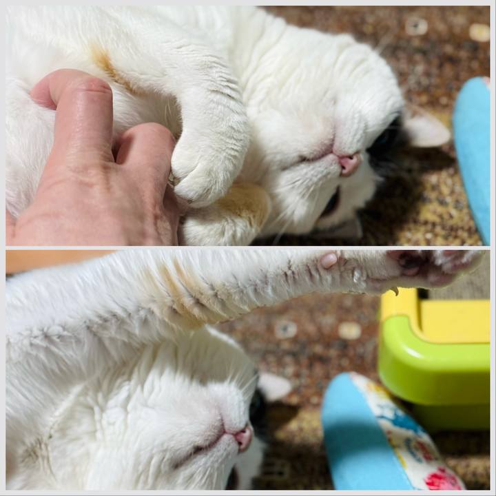 E64c2f4b efe4 4dc4 8265 8eced65b0b48 1774141224969