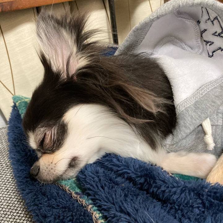 E64ccac7 0b6c 48c4 97bc 18e7338702da 1641818220964