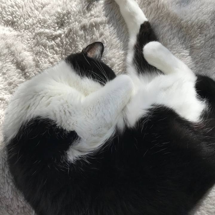 E64cf716 0ab1 4edc 97b1 e252feffa39f 1514635038004