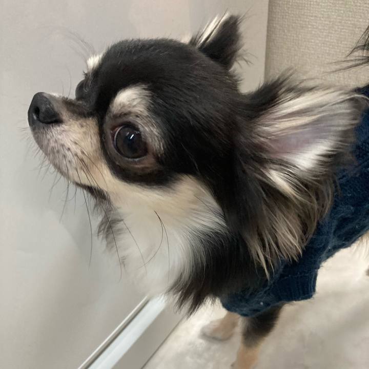 E64daf98 b296 4817 a93e a7e51c4d4338 1607869555822