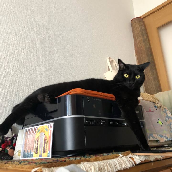 E64dc5f7 b06f 4a0c a56e 96bc91b12162 1565995791118