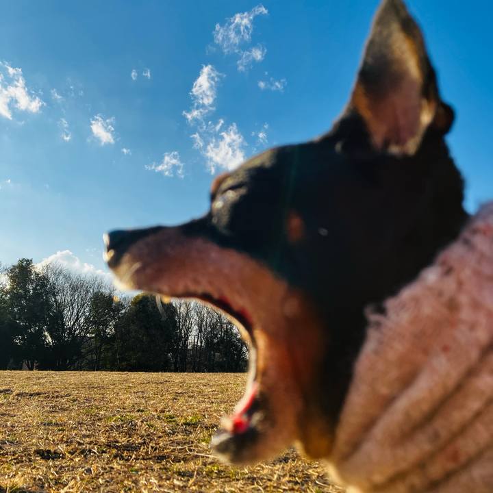 E64e5b7a 2199 4adb 9542 dab10045a305 1739284078371