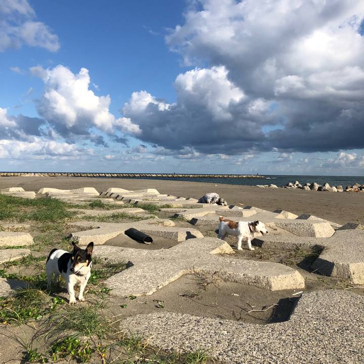 E64e5c50 4e11 460d 91f7 4d3992482cf8 1538092212602