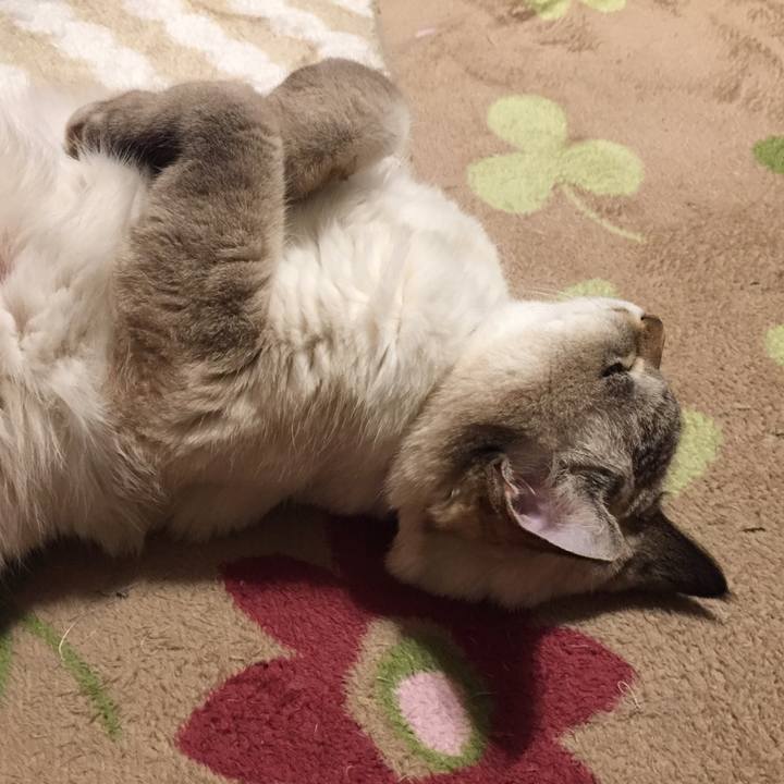 E64e63a9 2617 484d 826e a33aa983a8c9 1573566438855