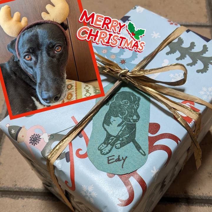 E64e675c 6ada 46ef 8590 dbe3c837fc9a 1671859314824