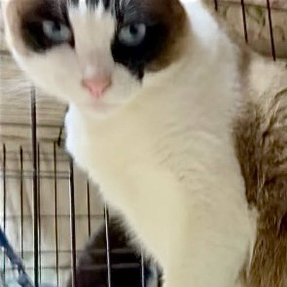 E64e67ed 2c3d 40d6 9434 4abecc4b0899 1748426658069