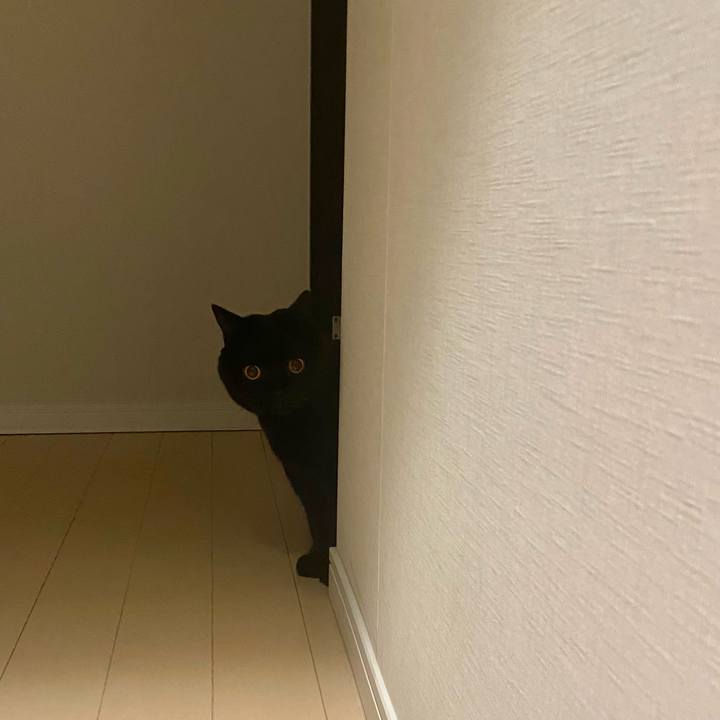 E64e7d07 3703 4dbe 9920 70bb12accc6e 1701432432807