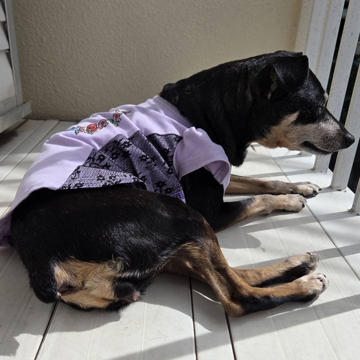 E64e8792 f0c1 4e95 b593 12fbef02b01e 1759379166177