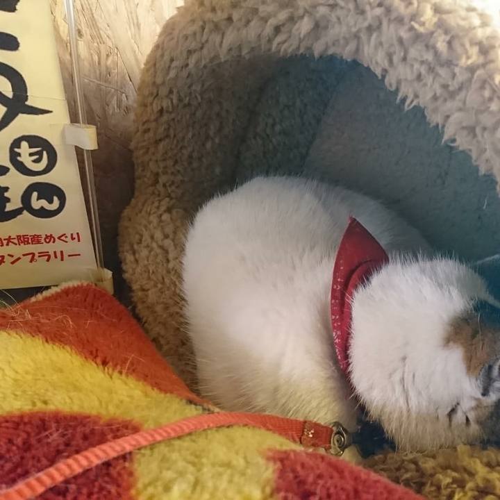 E64eb219 9df8 4aff 9ce1 adfab8d7d175 1550811791205