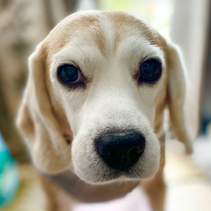 E64ec03e 0685 4715 987d 65a087ce8829 1642995681112