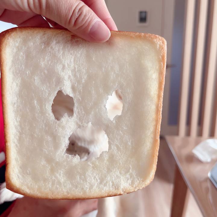 E64ec505 f499 454e b09b 6cef9b174a16 1717825206676