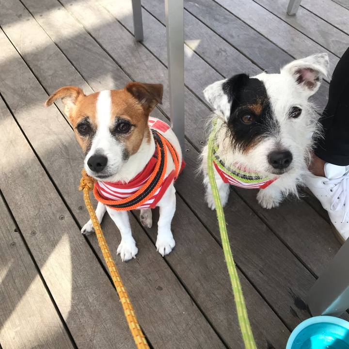 E64efcdb 27f3 4c91 8023 7f20e84a3801 1540088116520