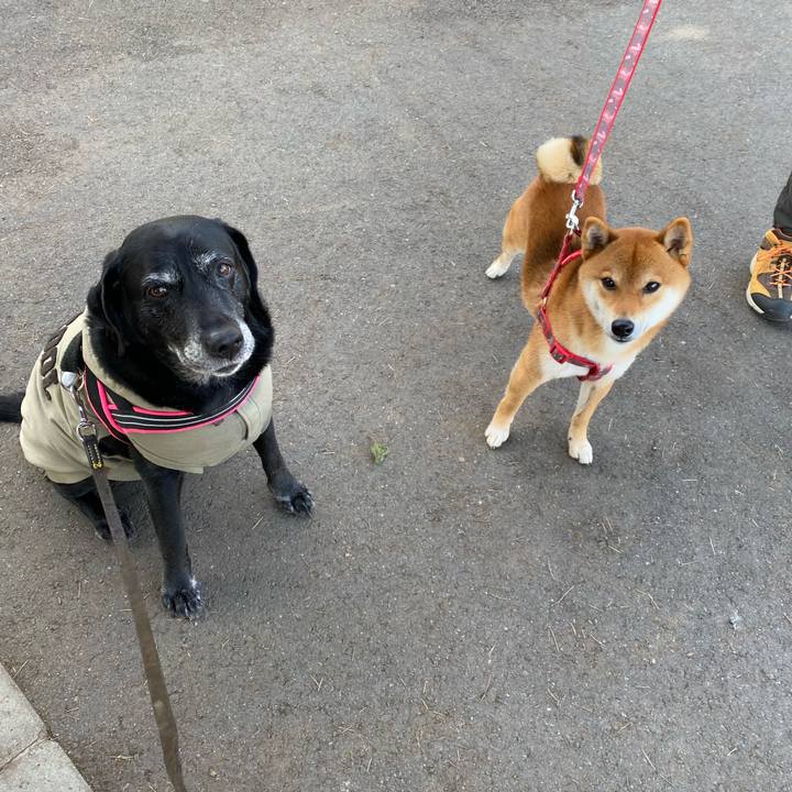 E64f2ffd 6aed 44a0 9771 b3efba5e6a6d 1639629363013