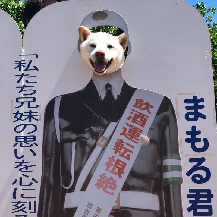 E64f52a1 0a4b 4869 9291 2d1f16bbed13 1537498694885