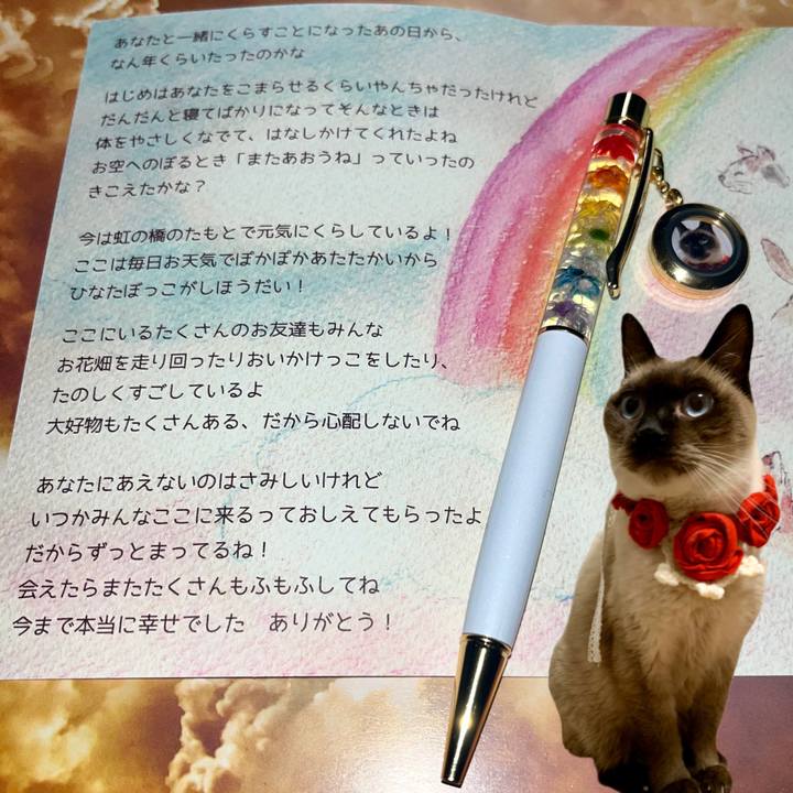 E64fa90a fbbb 471d bccf 9f5de15accb2 1647948693838