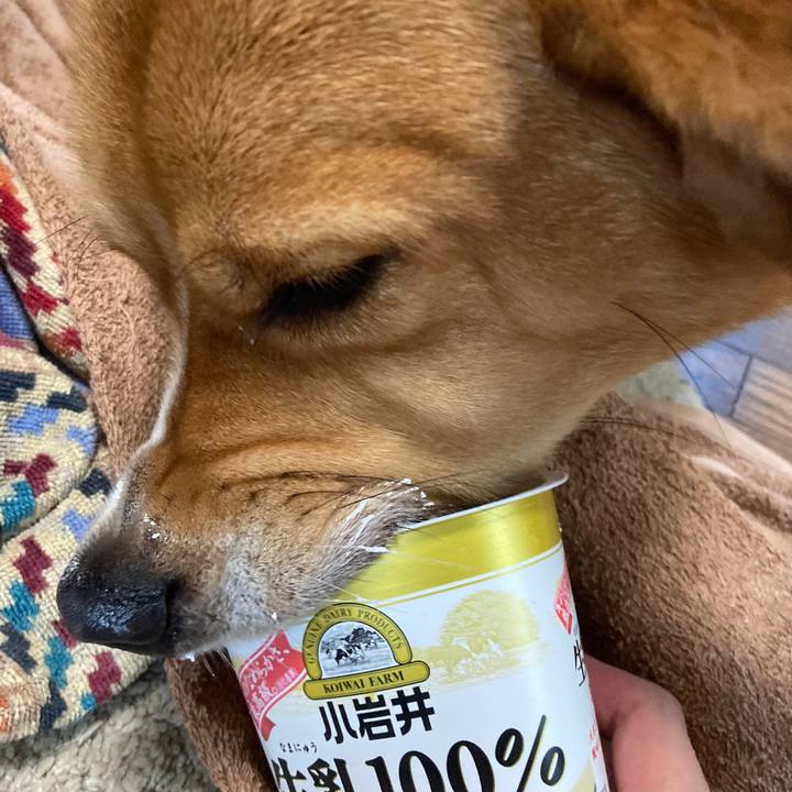 E64fa9ce 6596 43f7 940b 73e9e1b5e18f 1695771453189