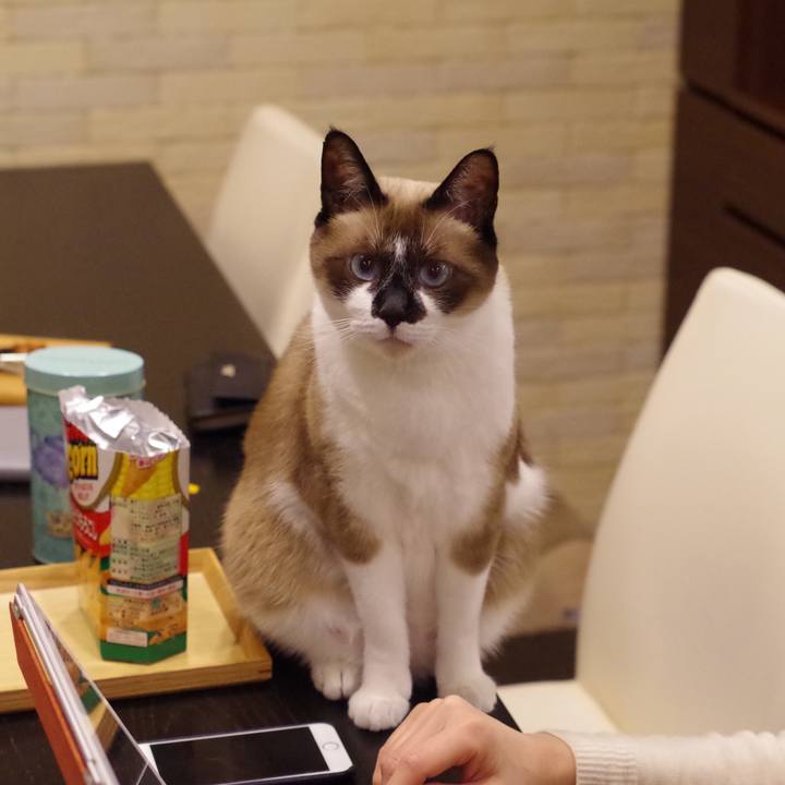 E64ffe1d 7ff5 476e a31d 12a0e699400d 1520772062987