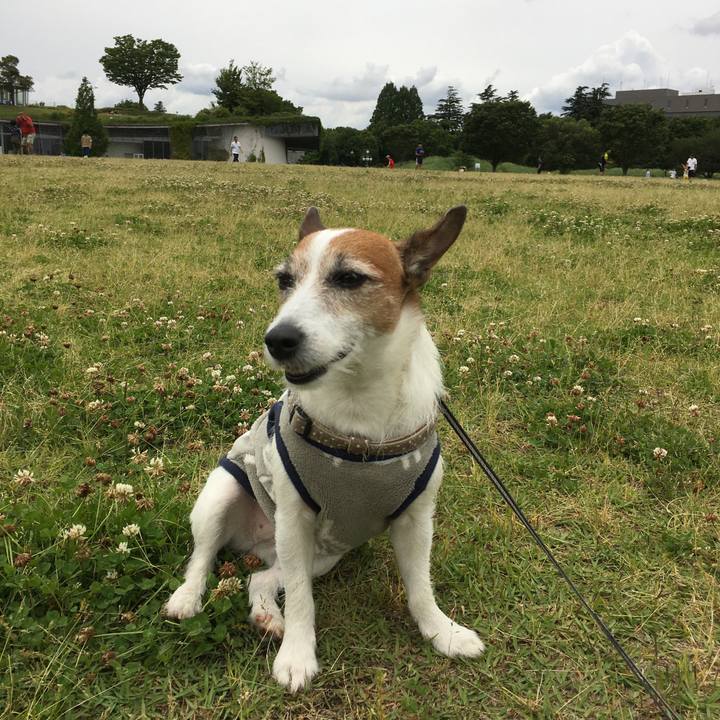 E6500ea9 6532 4a17 9d6d 76bff7ce5fcf 1590981796888