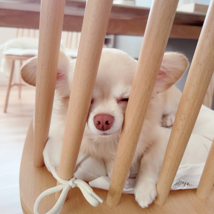 E650511a 2e0a 49f2 b0bb 6b0cf1f049dc 1692771947203