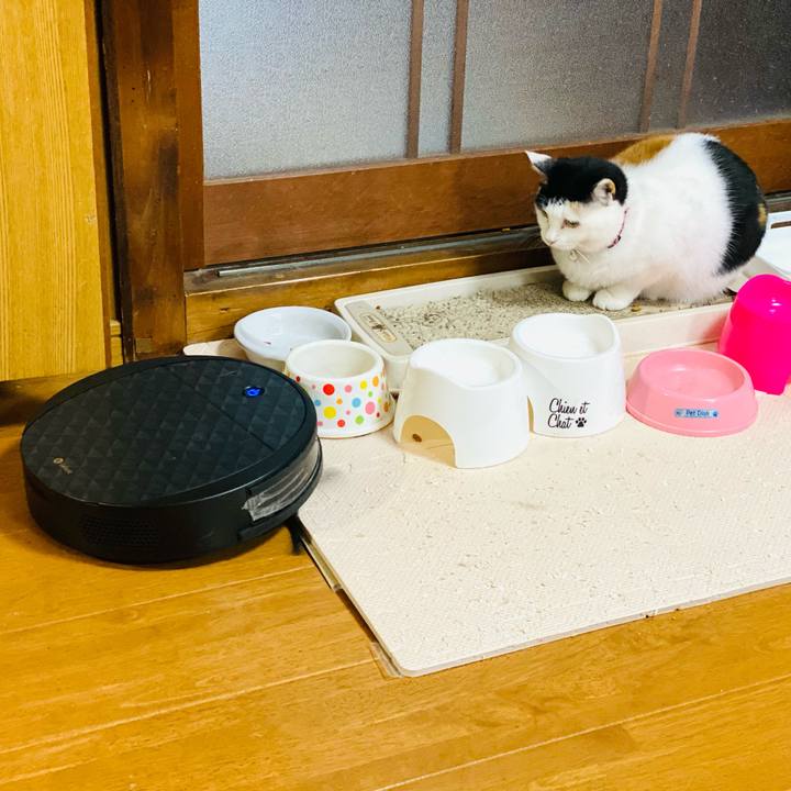 E6505714 557c 4b32 9716 5bb452efb35f 1683451196083