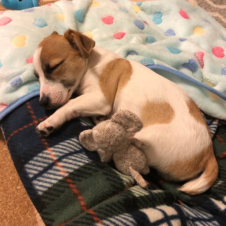 E650743f 1296 4482 8fe3 e654efcda73c 1548507868411