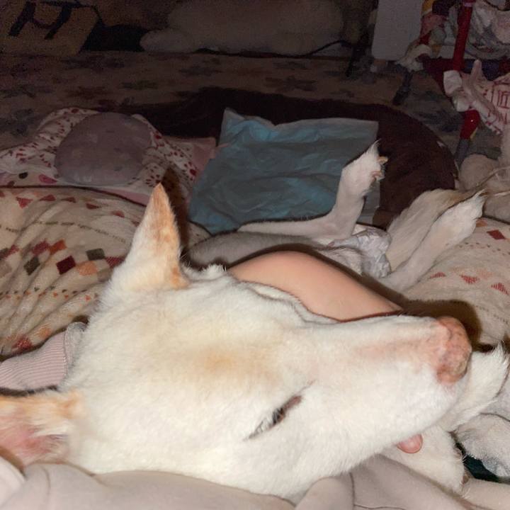 E65076ec e4ee 4e20 8ba7 2d9f71a60777 1674423694104