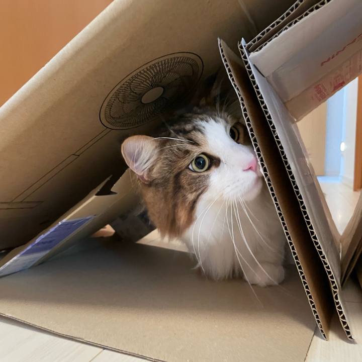 E65092d0 fdee 4c7c a320 ca501bb55250 1662067466056